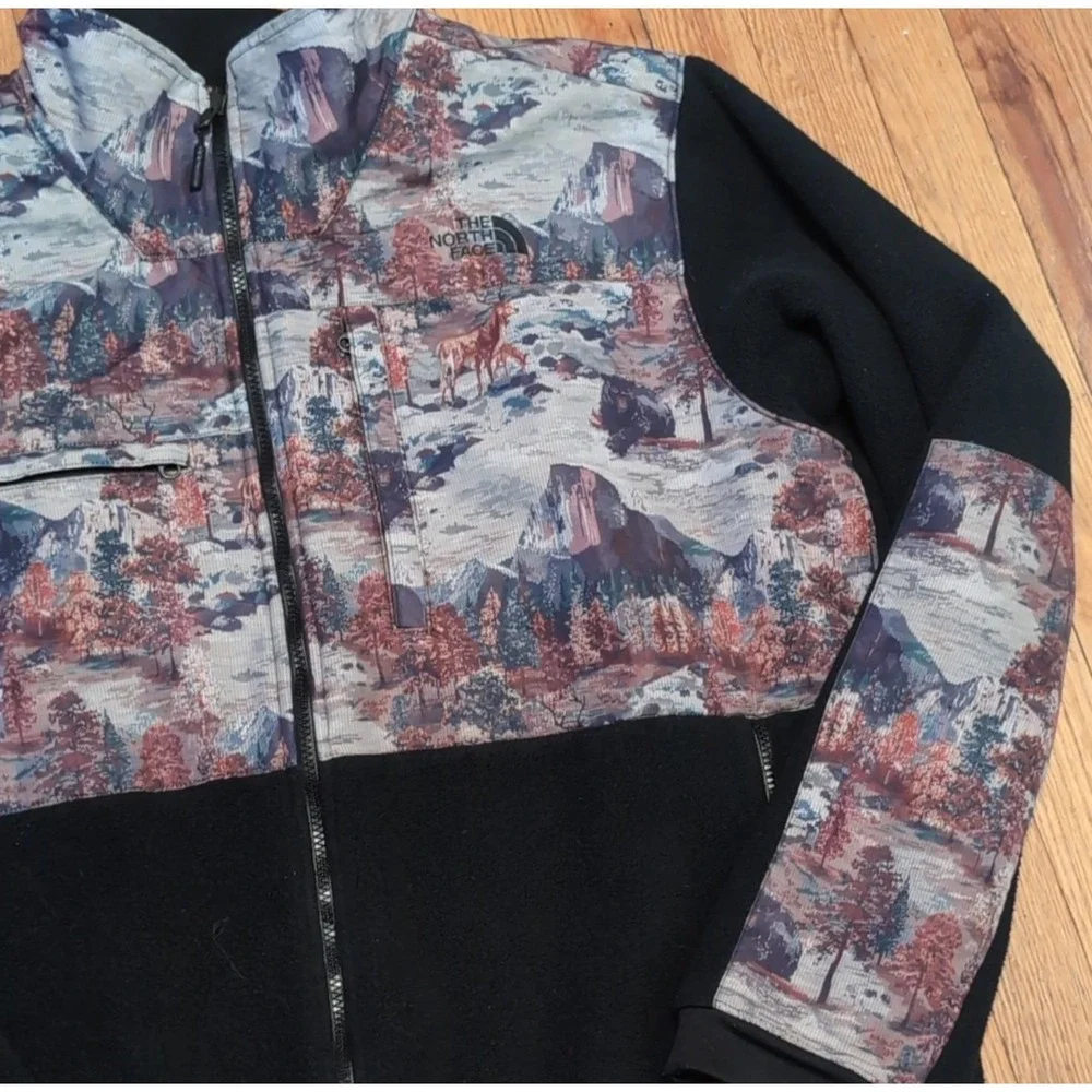 The North Face north face